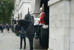 PICTURES/London - The Household Cavalry Museum/t_P1280394.JPG